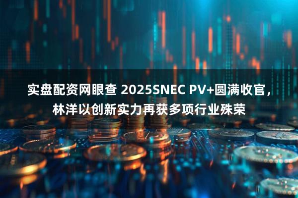 实盘配资网眼查 2025SNEC PV+圆满收官，林洋以创新实力再获多项行业殊荣